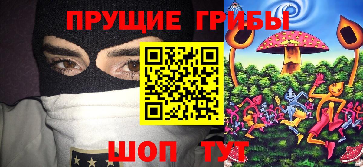 Псилоцибиновые грибы MAGIC MUSHROOMS Самара